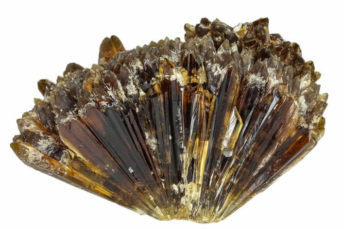 Radiating, Honey-Amber Calcite Crystal Cluster - China #112889
